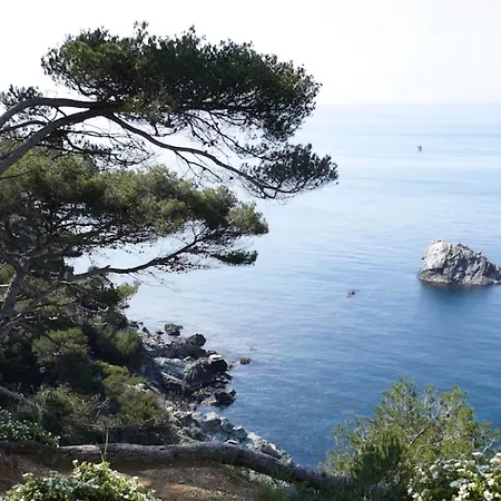 Bord De Mer Le Brusc 公寓